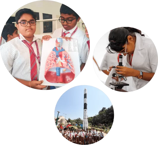 NPS Sarjapur Practical Learning